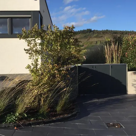 Ferienwohnung Weinbergblick Mehring  Exterior photo