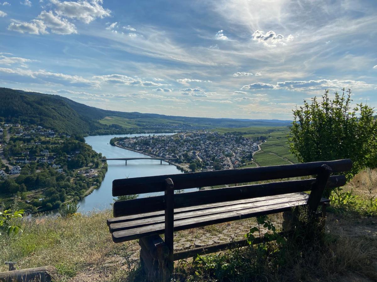 Apartment Weinbergblick Mehring (Rhineland-Palatinate)