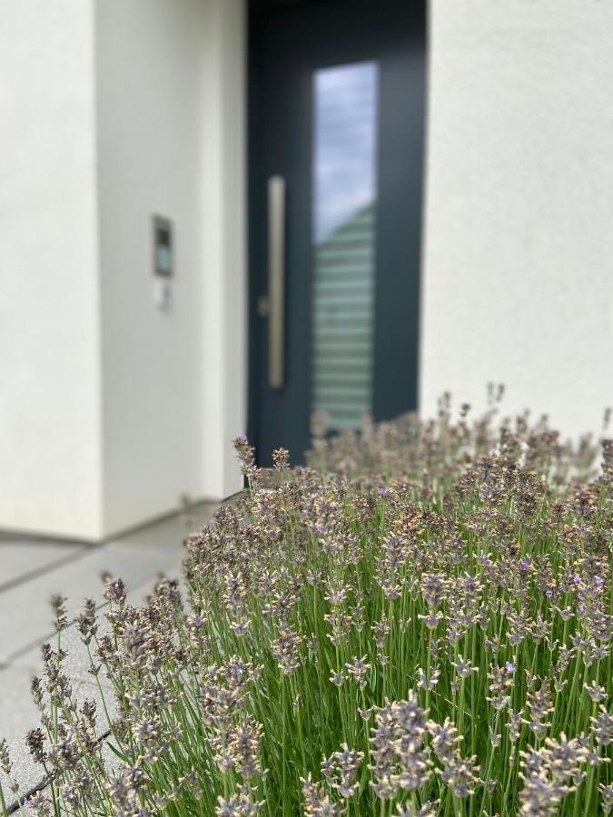 Weinbergblick Apartment Mehring (Rhineland-Palatinate)