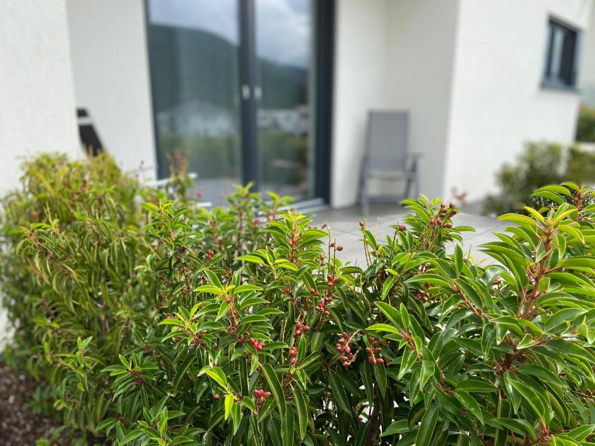 Weinbergblick Apartment