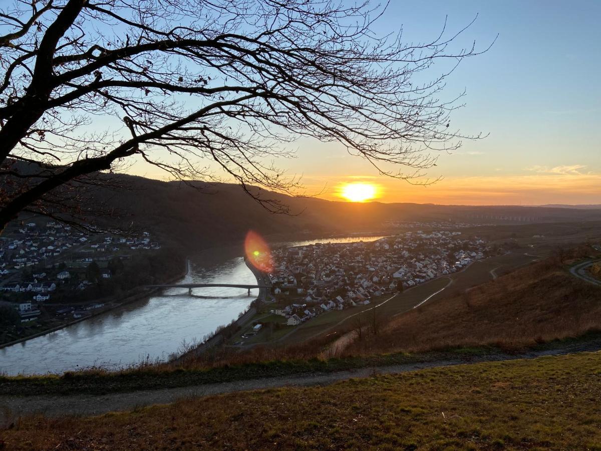 Apartment Weinbergblick *