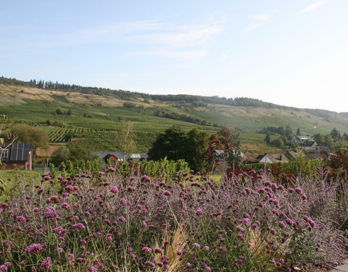 Weinbergblick * Mehring (Rhineland-Palatinate)