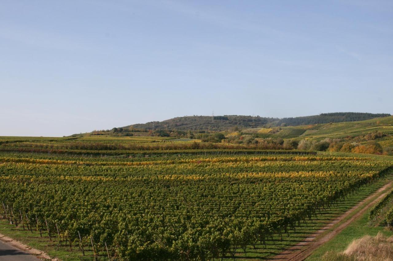 Weinbergblick Mehring (Rhineland-Palatinate)