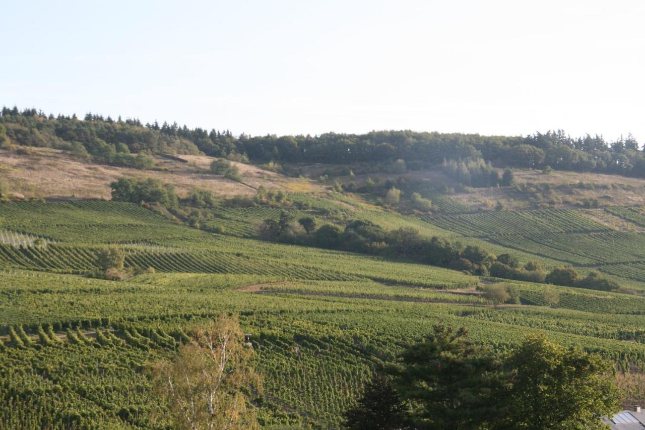 Weinbergblick * Mehring (Rhineland-Palatinate)