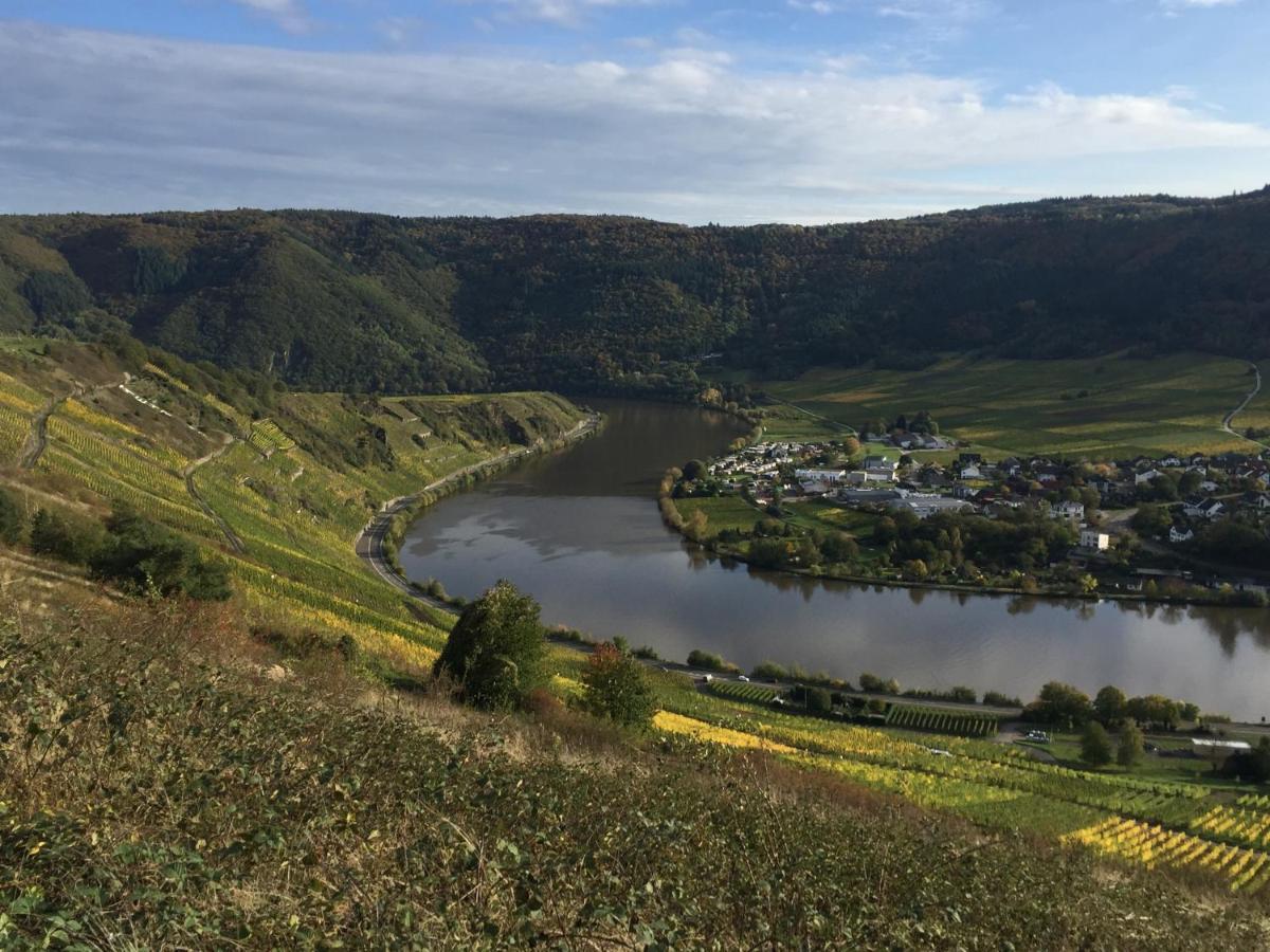 Apartment Weinbergblick *