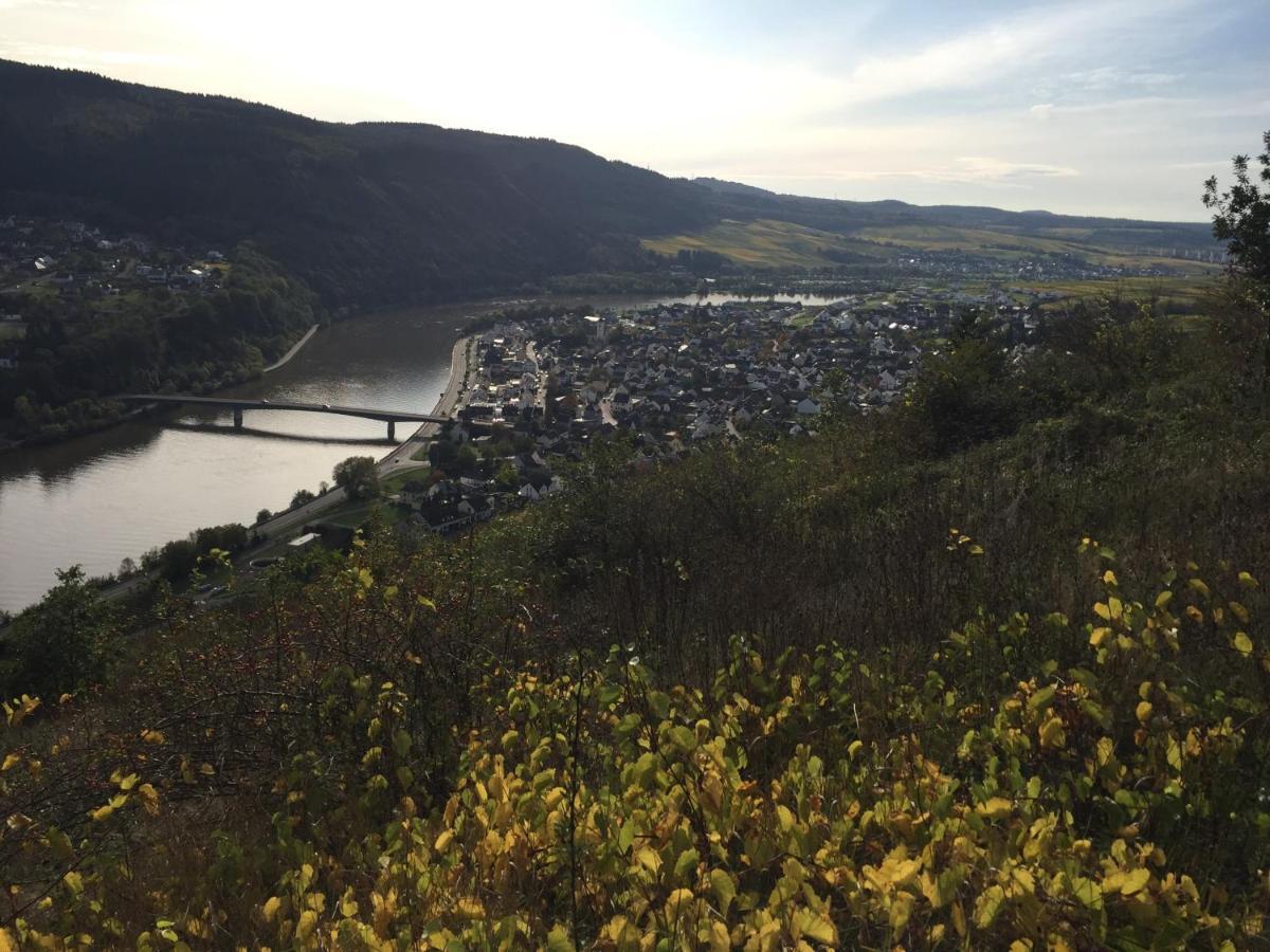 Apartment Weinbergblick Mehring (Rhineland-Palatinate)